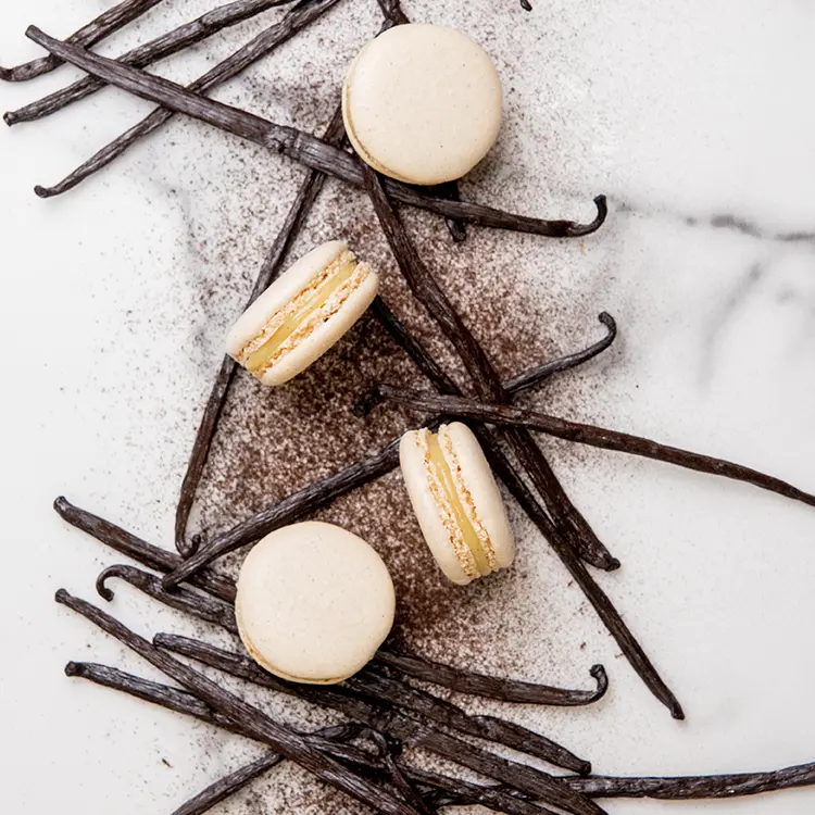 Macarons