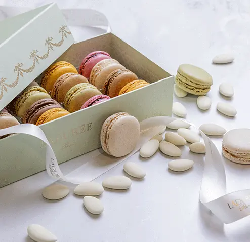 Special-OccasionsSpecial-Occasions